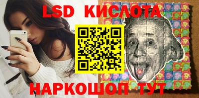 стафф Дубна