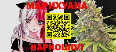 стафф Дубна