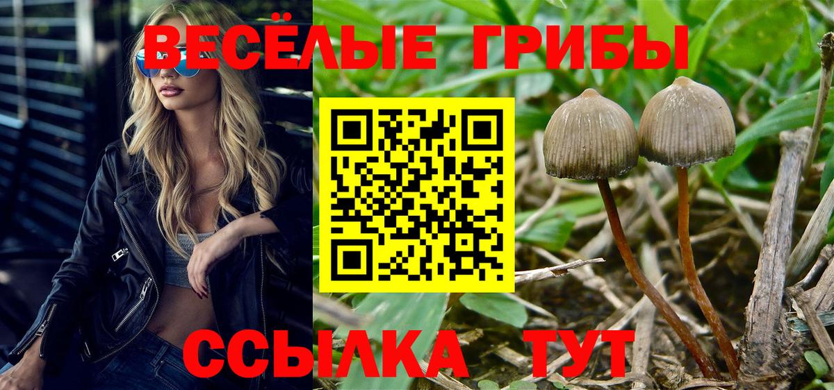 Ленинск-Кузнецкий  Галлюциногенные грибы Magic Shrooms  Вход с VPN  Псилоцибиновые грибы прущие грибы 