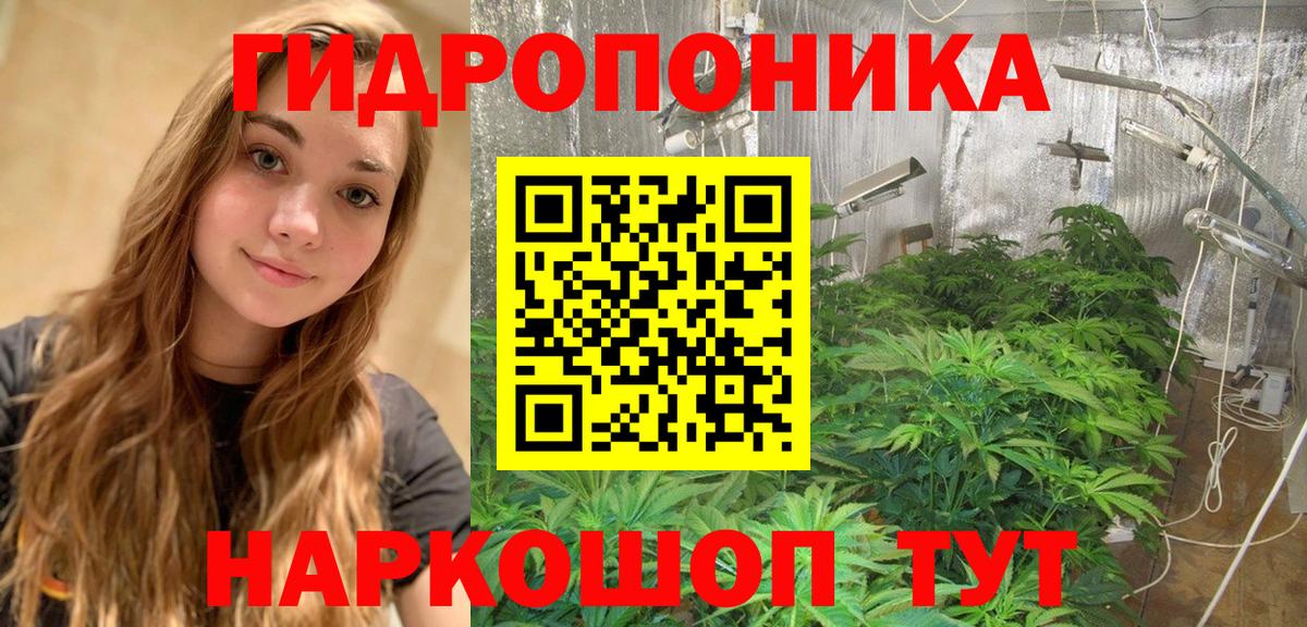 Каннабис план  Бошки Шишки LSD WEED  Вход с VPN  Ленинск-Кузнецкий 
